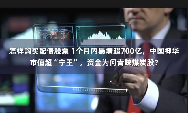怎样购买配债股票 1个月内暴增超700亿，中国神华市值超“宁王”，资金为何青睐煤炭股？