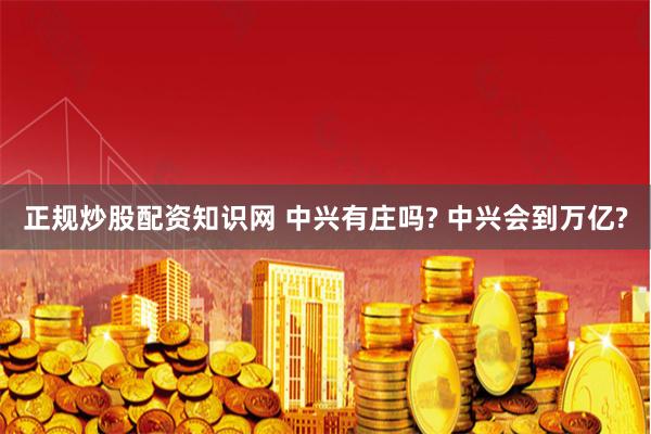 正规炒股配资知识网 中兴有庄吗? 中兴会到万亿?