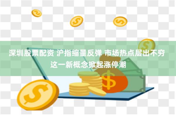 深圳股票配资 沪指缩量反弹 市场热点层出不穷 这一新概念掀起涨停潮