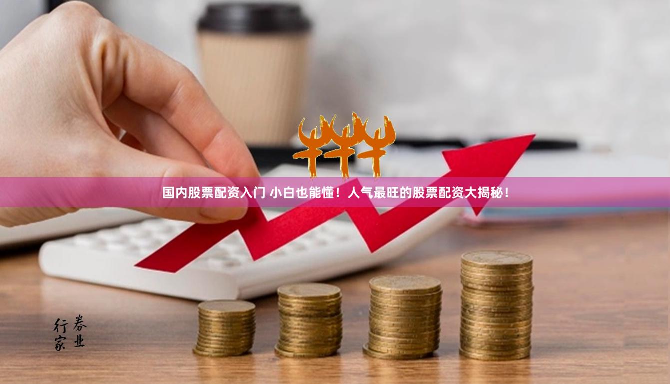 国内股票配资入门 小白也能懂！人气最旺的股票配资大揭秘！