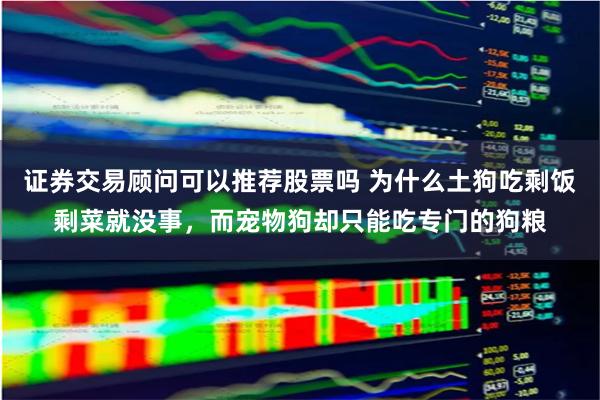 证券交易顾问可以推荐股票吗 为什么土狗吃剩饭剩菜就没事，而宠物狗却只能吃专门的狗粮
