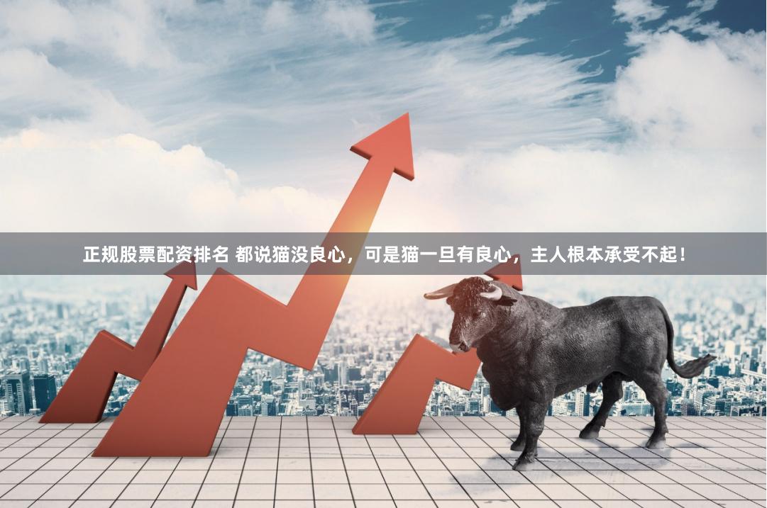 正规股票配资排名 都说猫没良心，可是猫一旦有良心，主人根本承受不起！